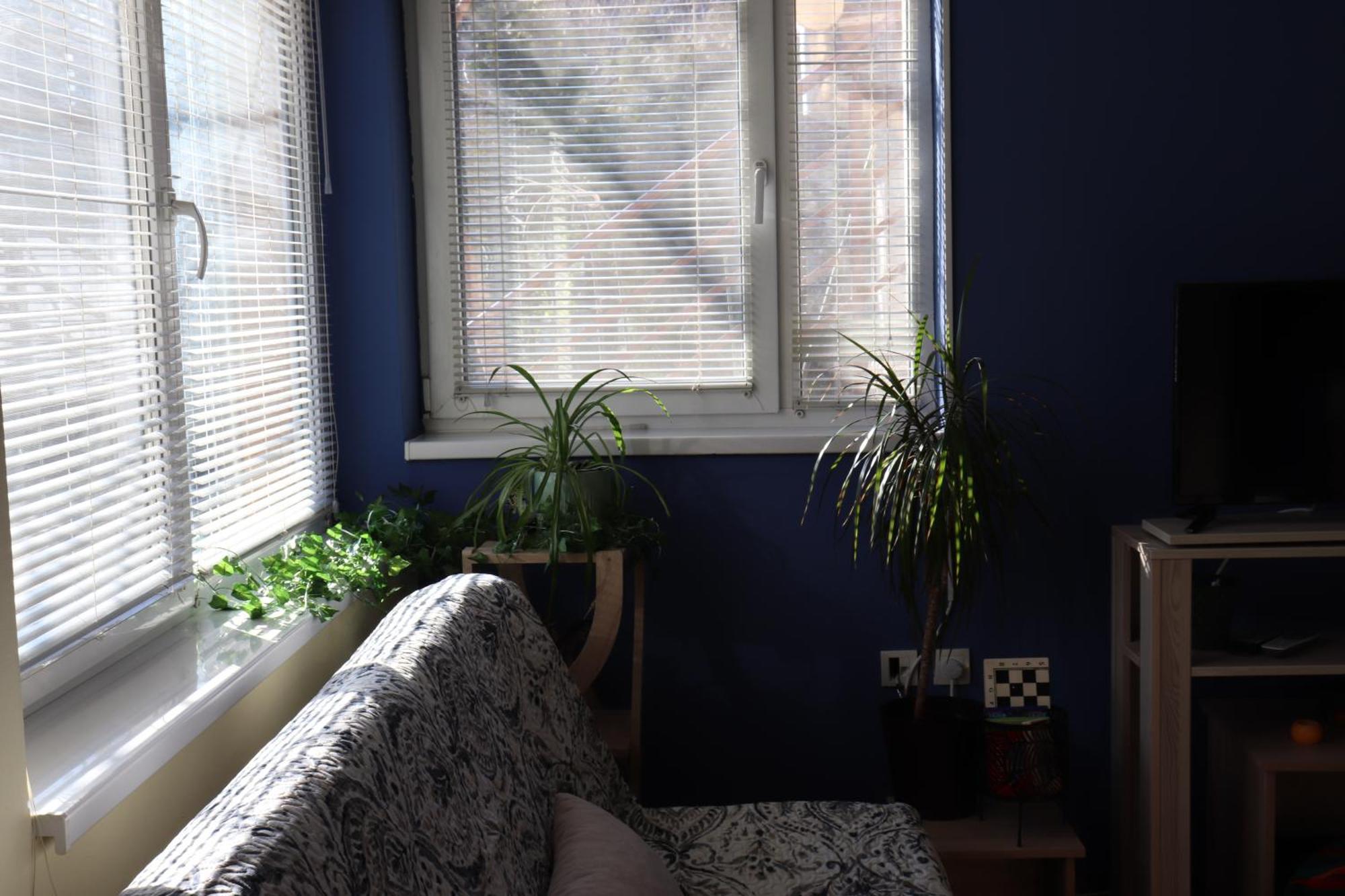 Center Apartment Dunja Суботица Екстериор снимка